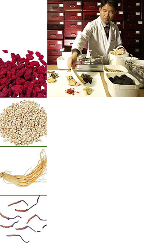gesund.png